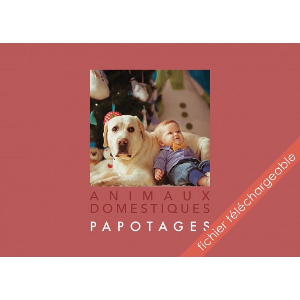 PDF Papotages Animaux domestiques PDF Papotages Animaux domestiques
