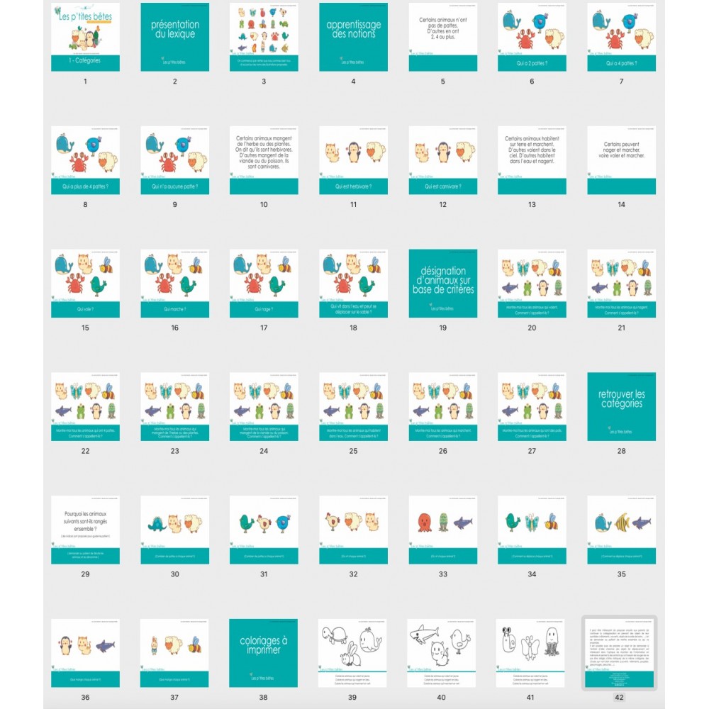 Les p'tites bêtes Catégories visuel